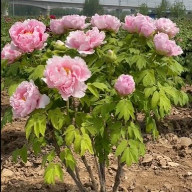 cb08ea58-2c94-4a1b-a860-f1ce238e97b8 cb08ea58-2c94-4a1b-a860-f1ce238e97b8